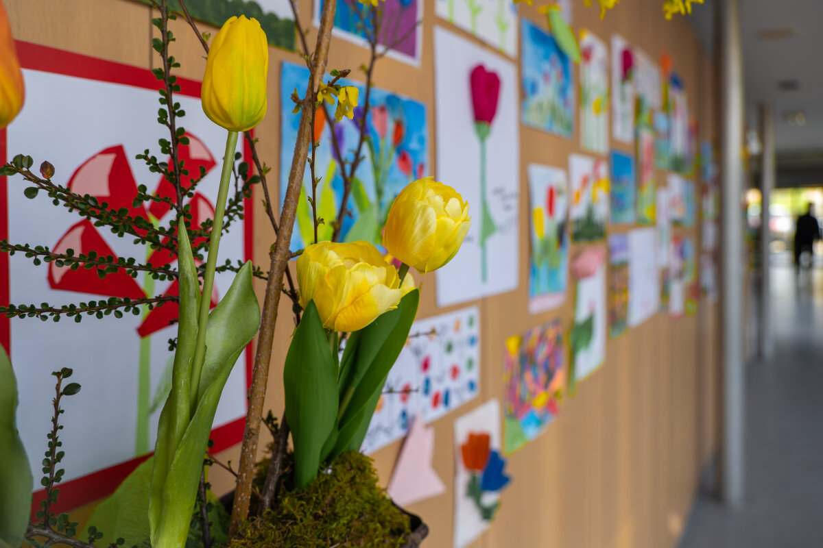 Masarykův onkologický ústav zaplavily květiny, probíhá Tulipánový měsíc